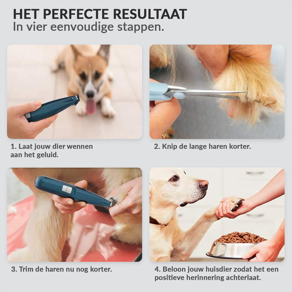 Cordless pet grooming kit with clippers and scissors
