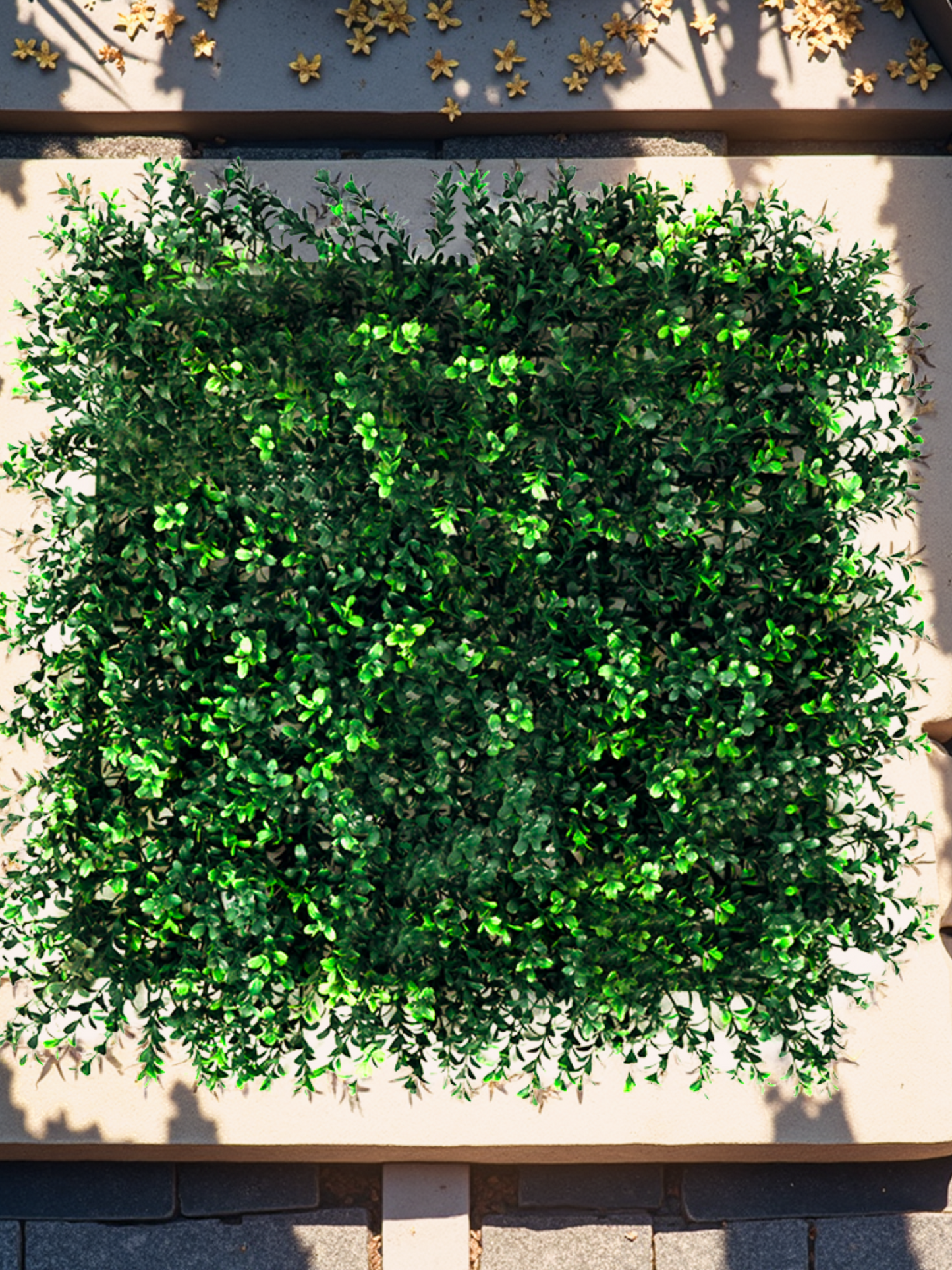 Set van 4 kunsthagen Ivy