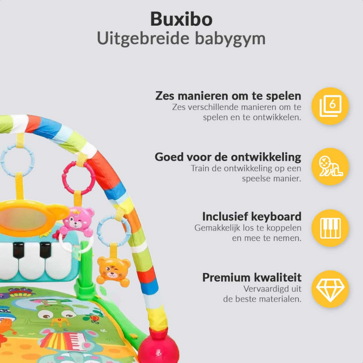 3-in-1 Baby/Peuter Gym