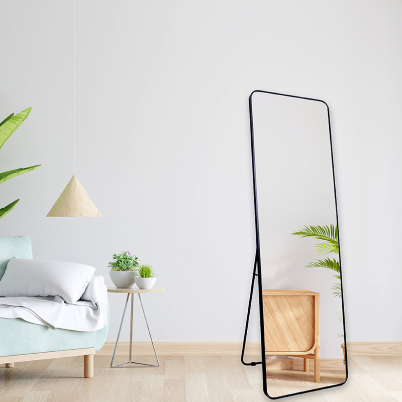 Black full-length mirror leaning against white wall in Scandinavian living room beside mint sofa, side table with plants,…