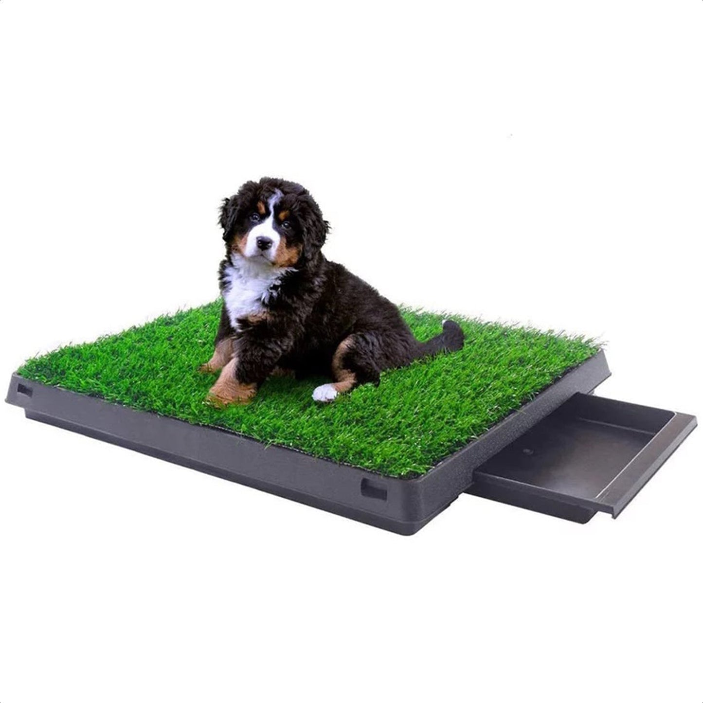 Indoor dog toilet with artificial grass and tray