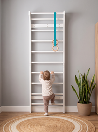 Indoor klimrek voor aan de muur Lou