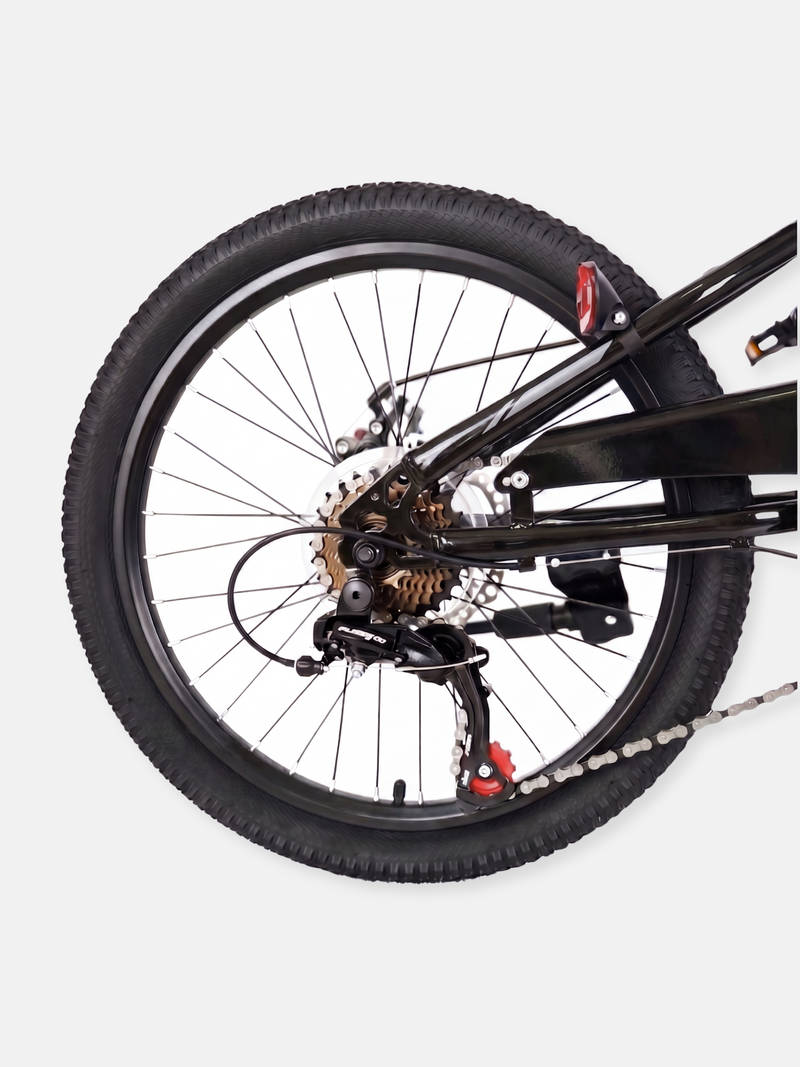 Mountain bike Austin 20-inch