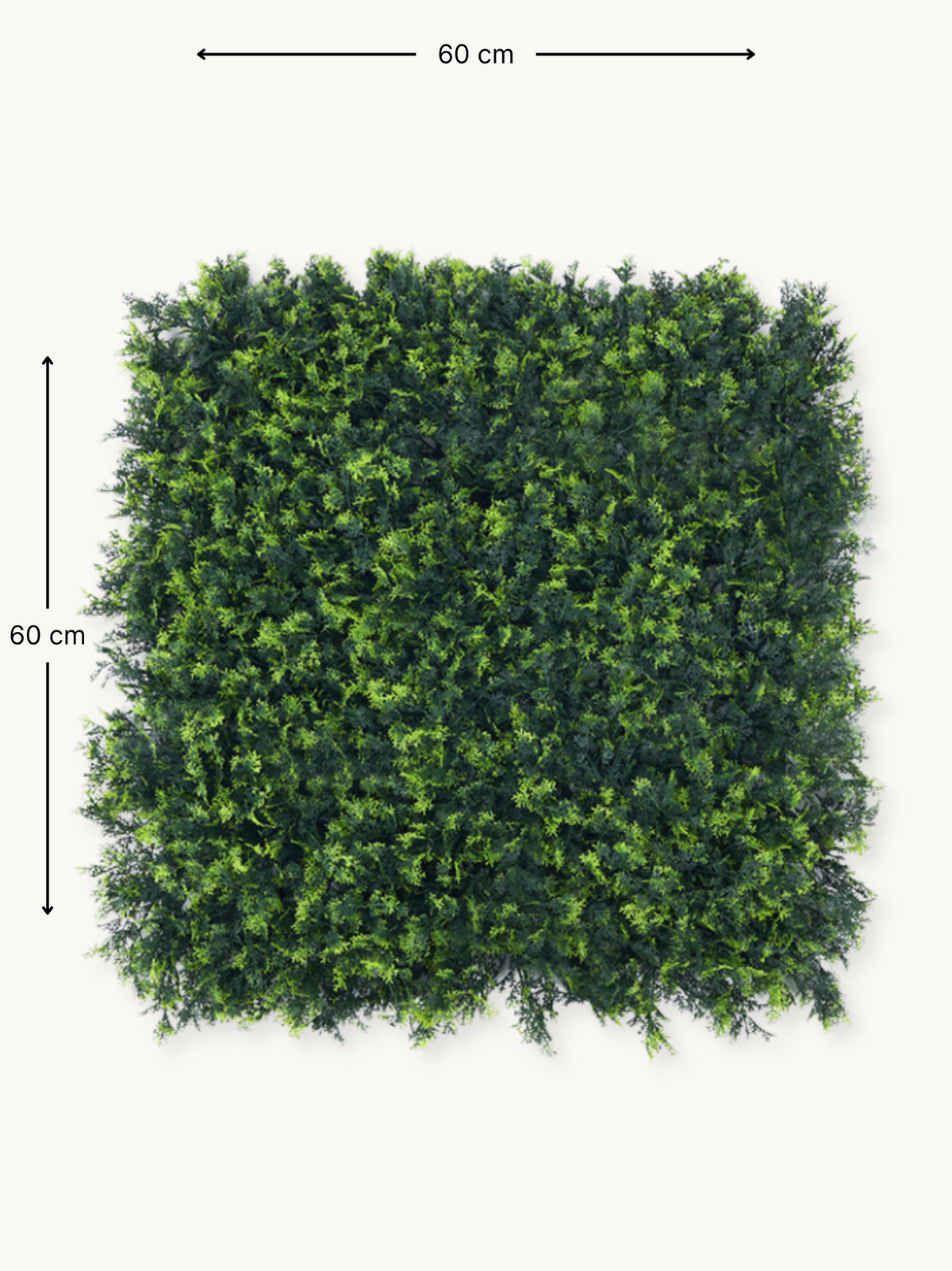 Square artificial green wall panel with dimension arrows showing 60 cm width and height, flat lay on white background