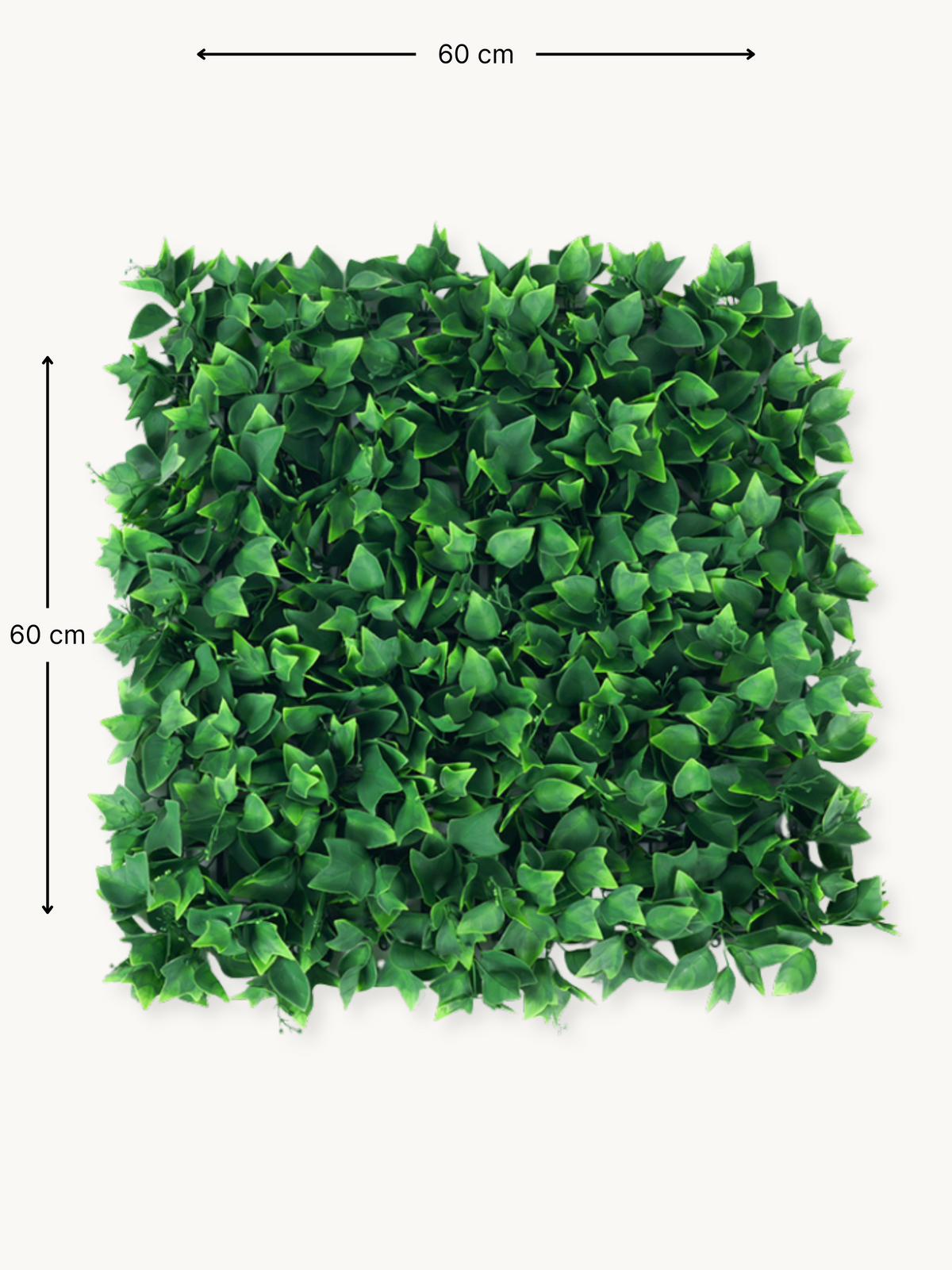 60×60 cm dimension diagram of a square artificial ivy-leaf wall panel, dense green lobed leaves on white background