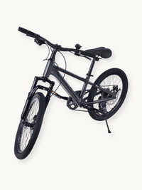 Grey Austin 20-inch kids' mountain bike, angled three-quarter front view, showing suspension fork, disc brakes, knobby tyr…