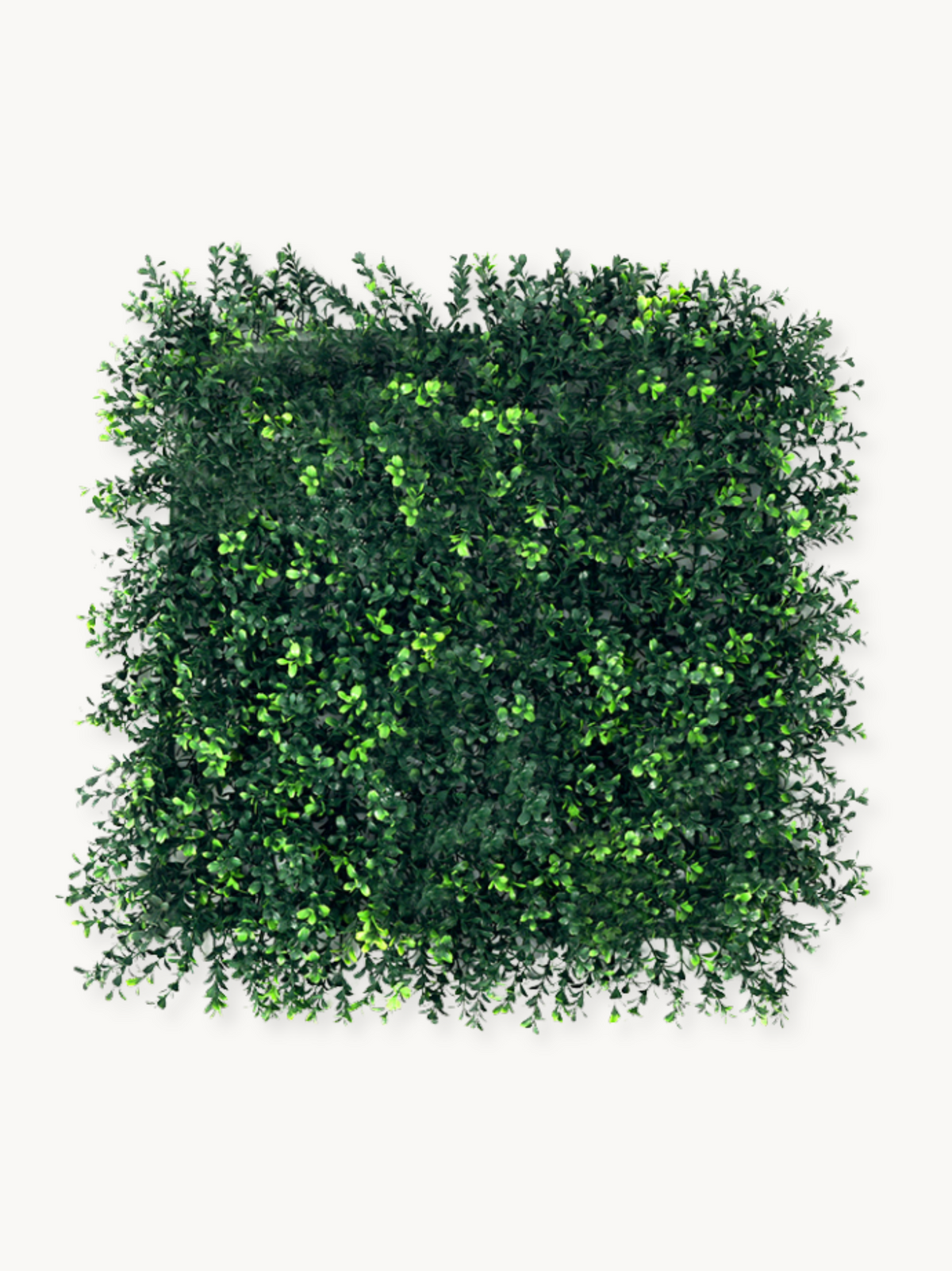 Square artificial green ivy wall panel with dense mixed dark and bright green small leaves, front view on white background