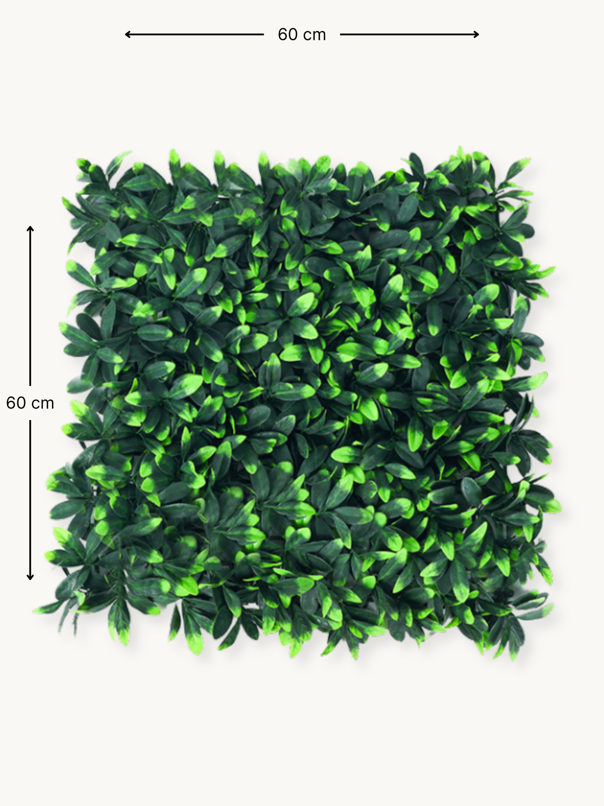 60×60 cm dimension diagram of a square artificial green leaf wall panel, flat front view on white background