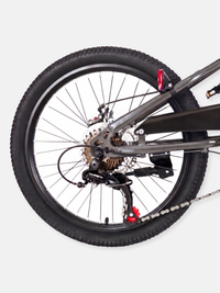 Mountainbike Austin 20-inch