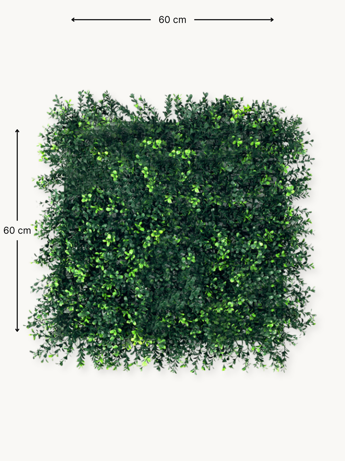 Square artificial green ivy wall panel with dimension arrows showing 60 cm width and height, front view on light background
