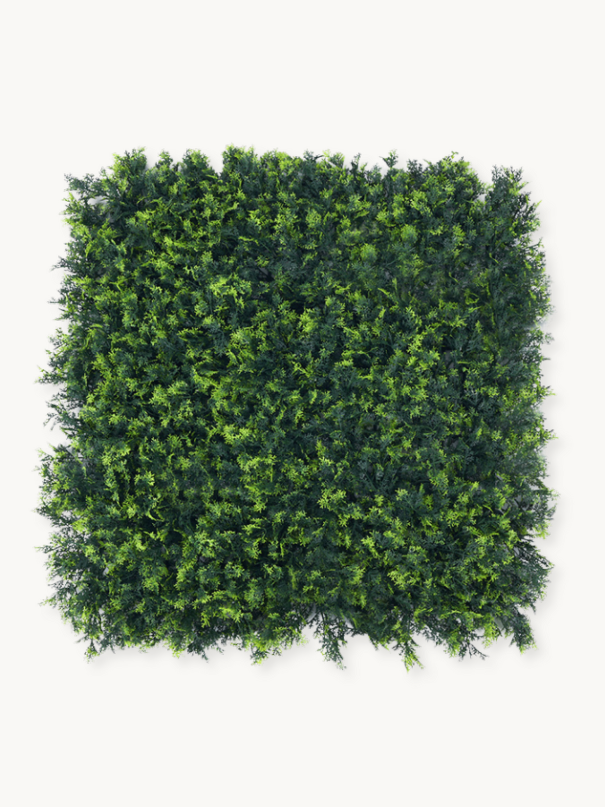 Square artificial green wall panel with dense dark and light green foliage, shot flat against a white background, one pane…