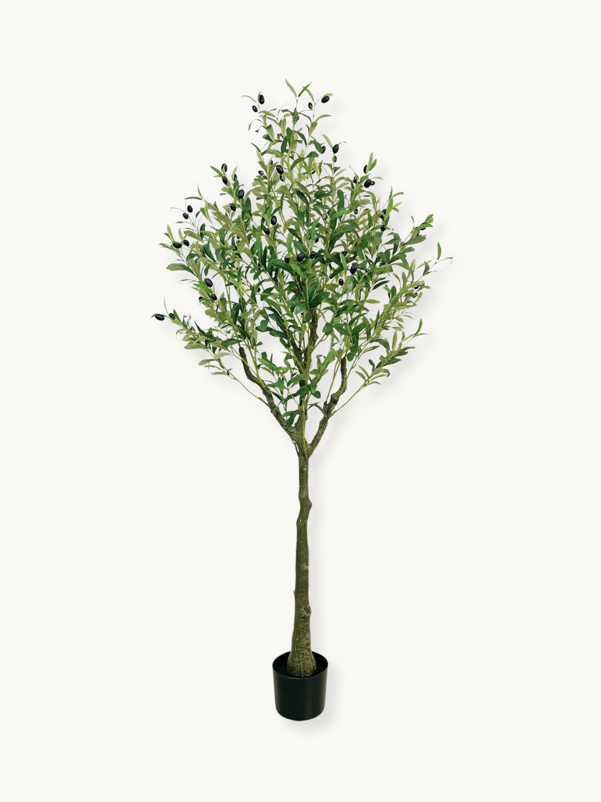 Tall artificial olive tree with green leaves and black faux fruits in a black plastic pot, shown full-length on white back…
