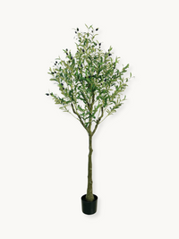 Tall artificial olive tree with green leaves and black faux fruits in a black plastic pot, shown full-length on white back…