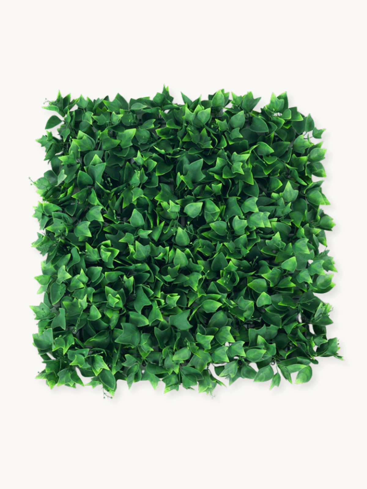 Square artificial ivy-leaf wall panel, dense green foliage, front-facing flat lay on white background