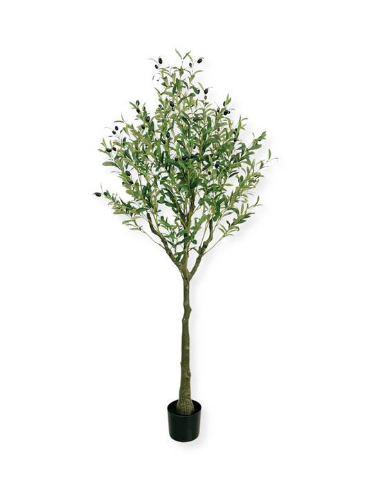 Kunstplant olijfboom