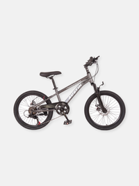 Mountainbike Austin 20-inch