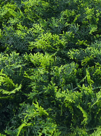 Close-up detail of artificial olive green hedge panel showing mixed bright and dark green plastic foliage texture